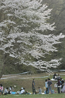 picnic_land_D-0209.jpg