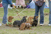 picnic_land_D-0210.jpg
