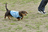 picnic_land_D-0212_thumb.png