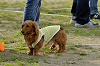 picnic_land_D-0216_thumb.png