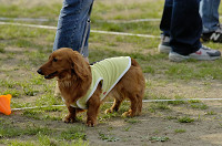 picnic_land_D-0217.jpg