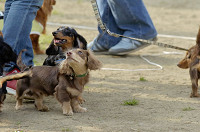 picnic_land_D-0219.jpg