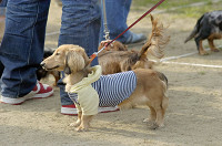 picnic_land_D-0220.jpg