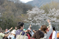 picnic_land_D-0222.jpg