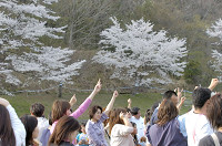 picnic_land_D-0223.jpg