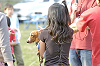 picnic_land_D-0227_thumb.png