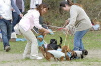 picnic_land_D-0231.jpg