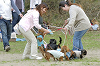 picnic_land_D-0231_thumb.png