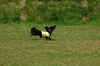 paw_meeting_A-016_thumb.png