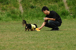 paw_meeting_A-017.jpg