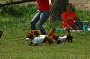 paw_meeting_A-018_thumb.png