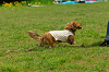 paw_meeting_A-022_thumb.png