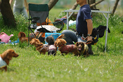 paw_meeting_A-028.jpg