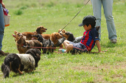 paw_meeting_A-032.jpg