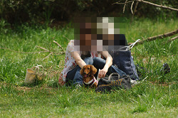 paw_meeting_A-033.jpg