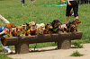 paw_meeting_A-045_thumb.png