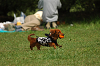 paw_meeting_A-053_thumb.png