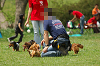 paw_meeting_A-056_thumb.png