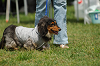 paw_meeting_A-057_thumb.png