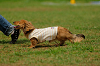 paw_meeting_A-059_thumb.png