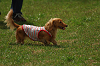 paw_meeting_A-080_thumb.png