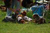 paw_meeting_A-081_thumb.png