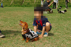 paw_meeting_A-089.jpg