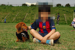 paw_meeting_A-092.jpg
