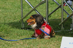 paw_meeting_A-113.jpg