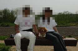 paw_meeting_A-118.jpg
