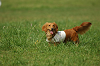 paw_meeting_A-126_thumb.png