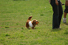 paw_meeting_A-143_thumb.png