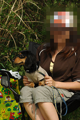 paw_meeting_A-148.jpg