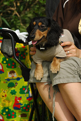 paw_meeting_A-151.jpg
