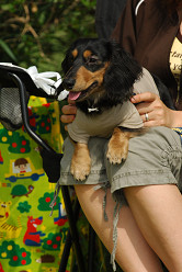 paw_meeting_A-152.jpg