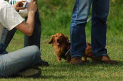 paw_meeting_A-161.jpg