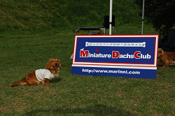 paw_meeting_A-174.jpg