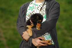 paw_meeting_A-188.jpg