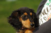 paw_meeting_A-191_thumb.png