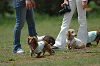 paw_meeting_B-205_thumb.png
