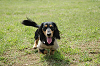 paw_meeting_B-206_thumb.png