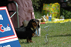 paw_meeting_B-219_thumb.png