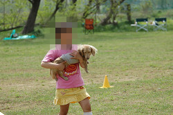 paw_meeting_B-220.jpg