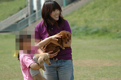 paw_meeting_B-221.jpg