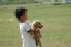 paw_meeting_B-222.jpg