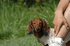 paw_meeting_B-241_thumb.png