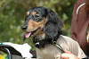 paw_meeting_B-244_thumb.png