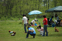 paw_meeting_C-271.jpg