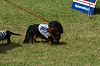 paw_meeting_C-275_thumb.png