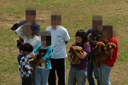 paw_meeting_C-281.jpg